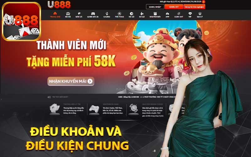 Điều khoản và điều kiện chung